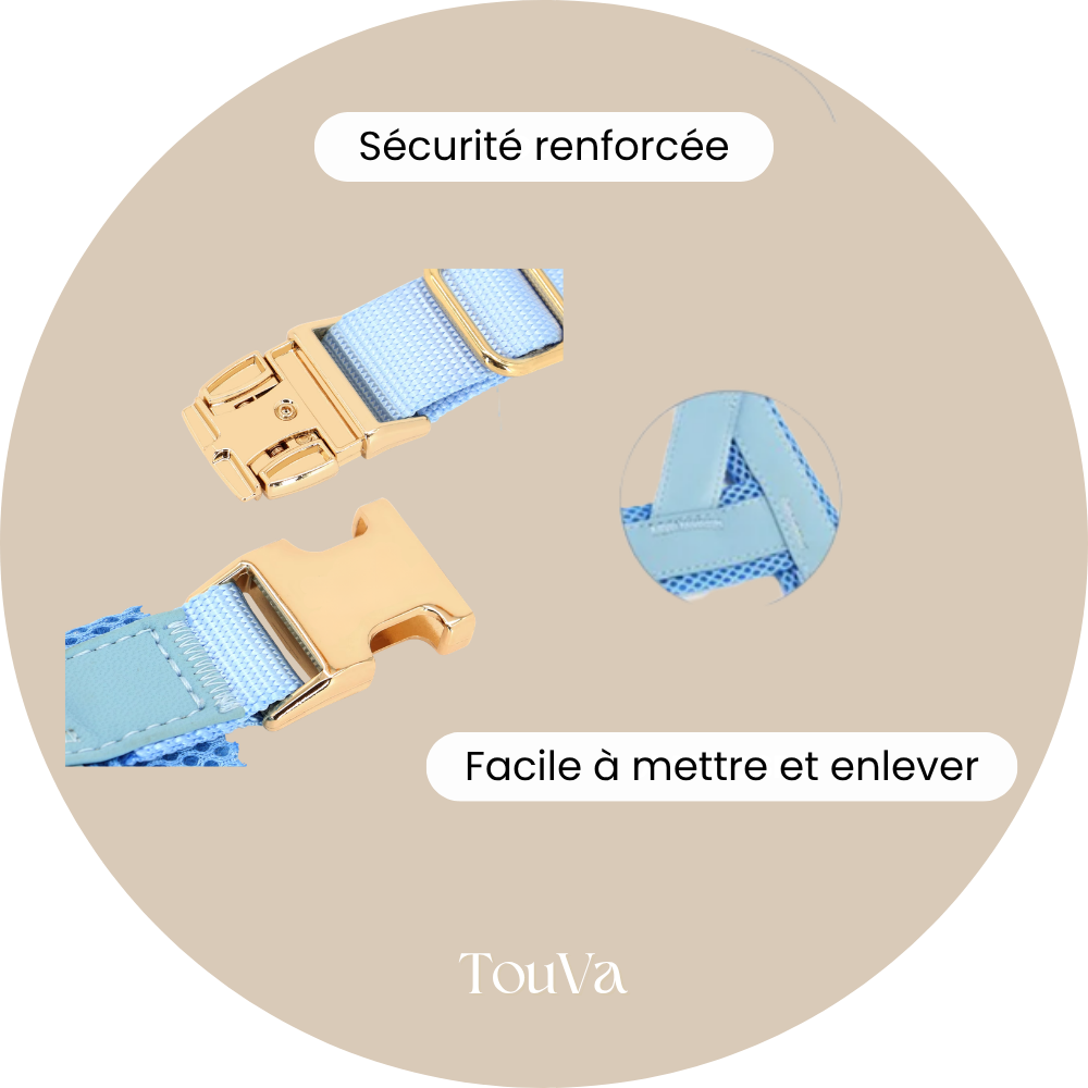 Harnais pour chien anti-traction