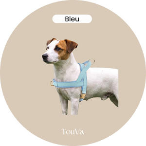 Harnais pour chien anti-traction