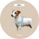 Harnais pour chien anti-traction