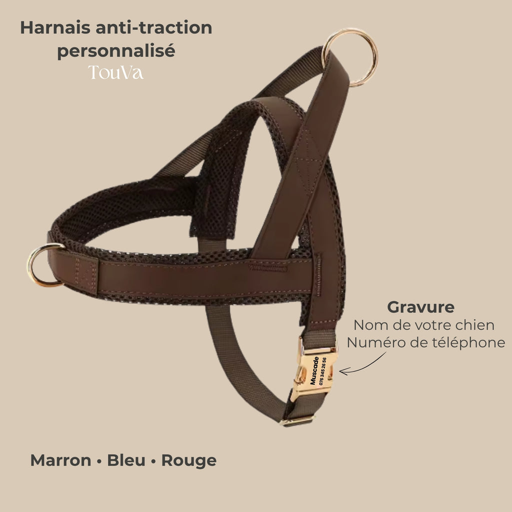 Harnais anti-traction TouVa personnalisé