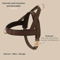 Harnais anti-traction TouVa personnalisé