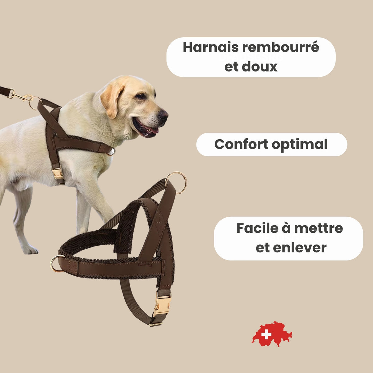 Harnais pour chien anti-traction