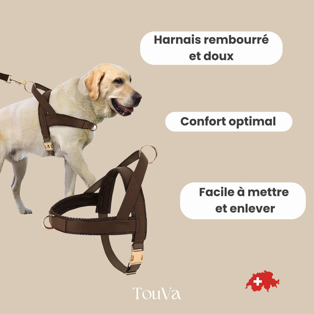 Harnais pour chien anti-traction
