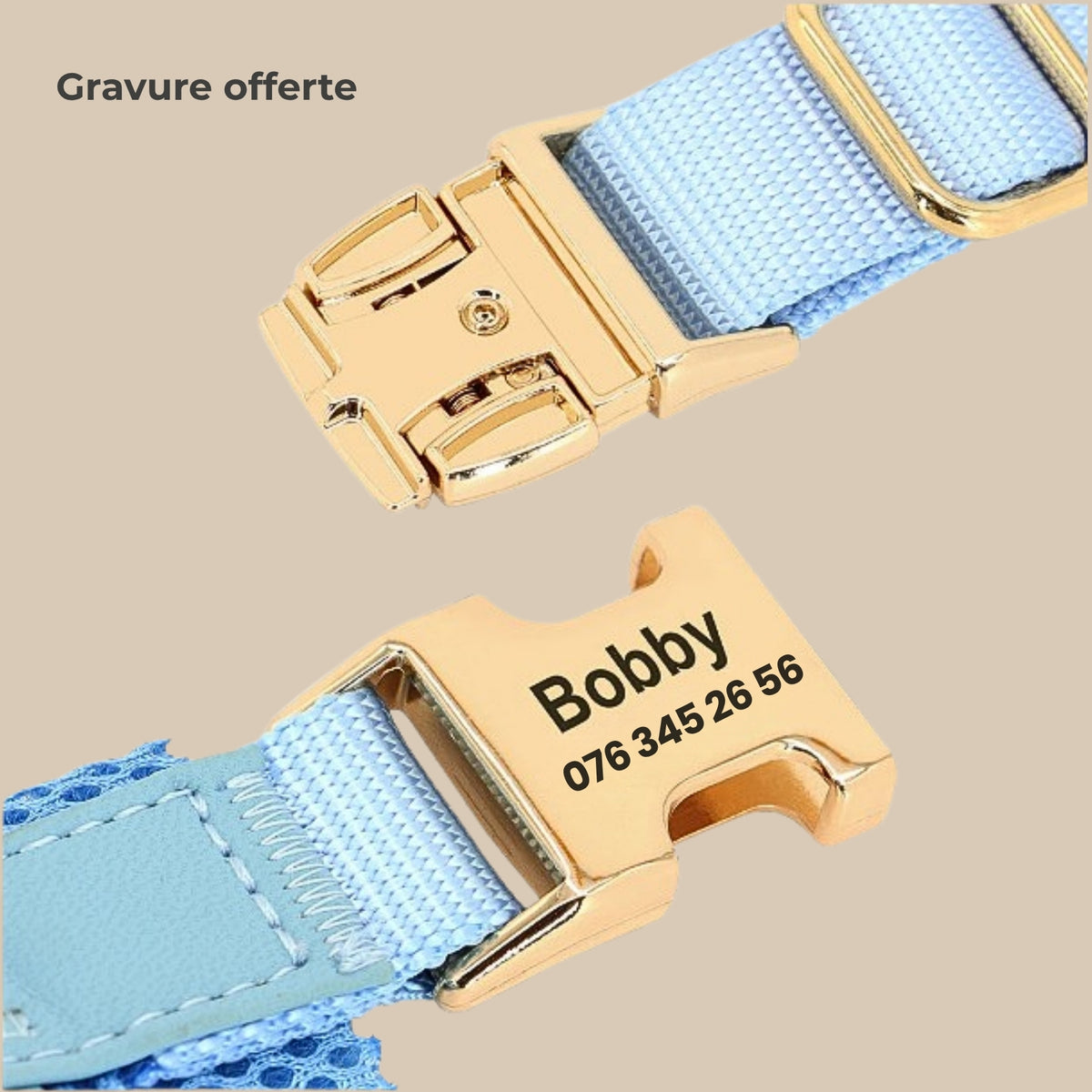 Harnais anti-traction TouVa personnalisé + laisse assortie
