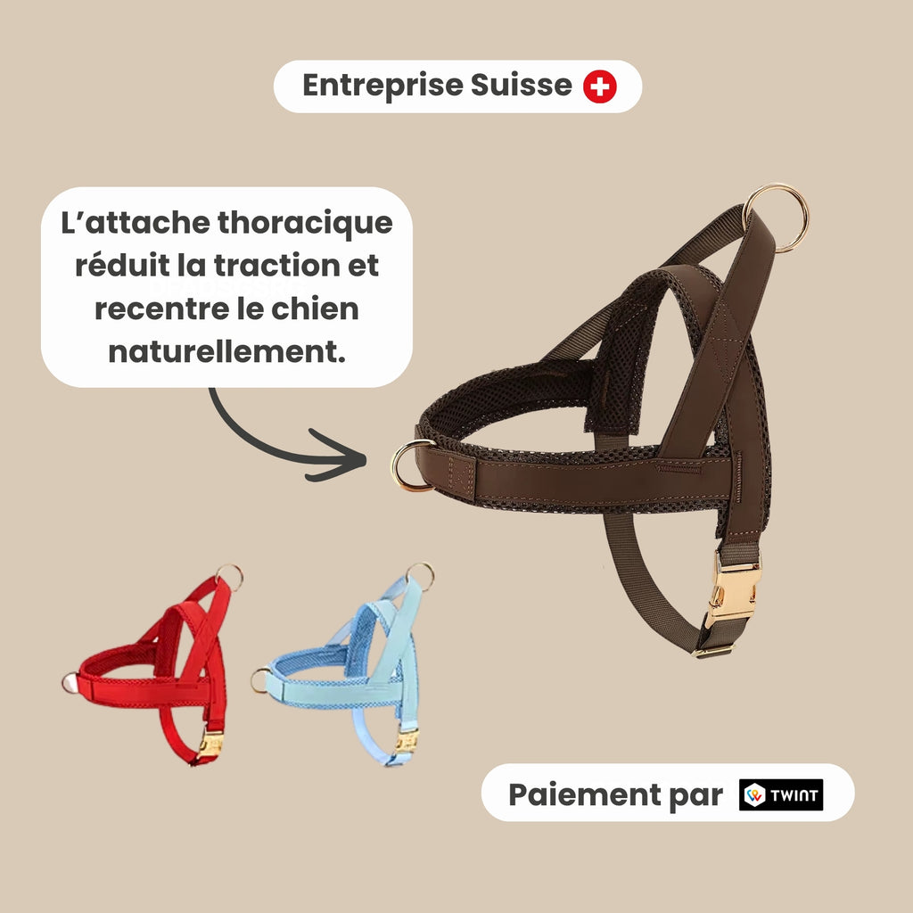 Harnais pour chien anti-traction