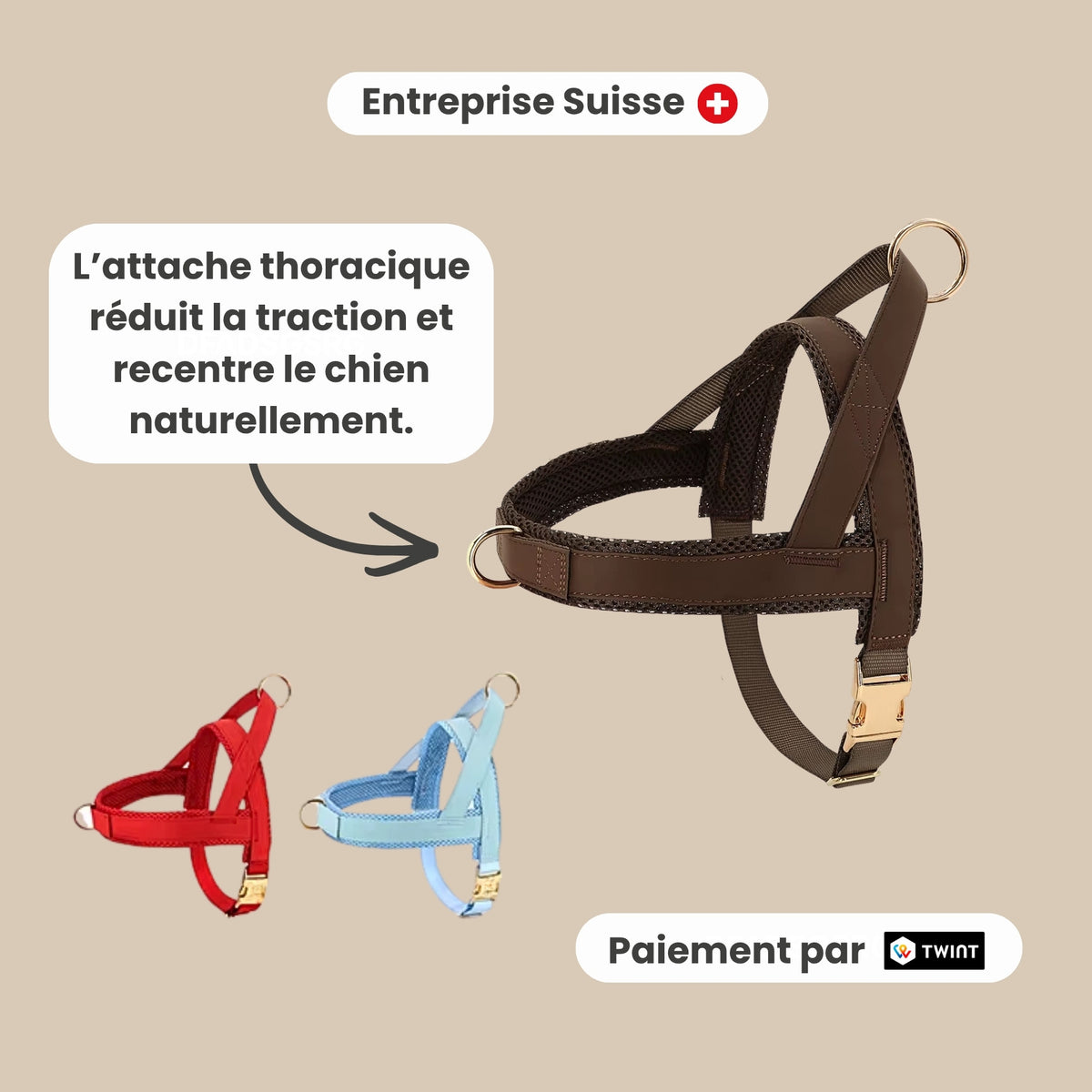 Harnais pour chien anti-traction