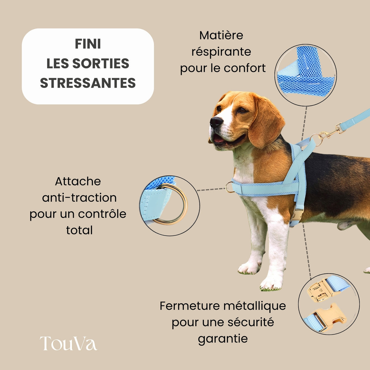 Harnais pour chien anti-traction