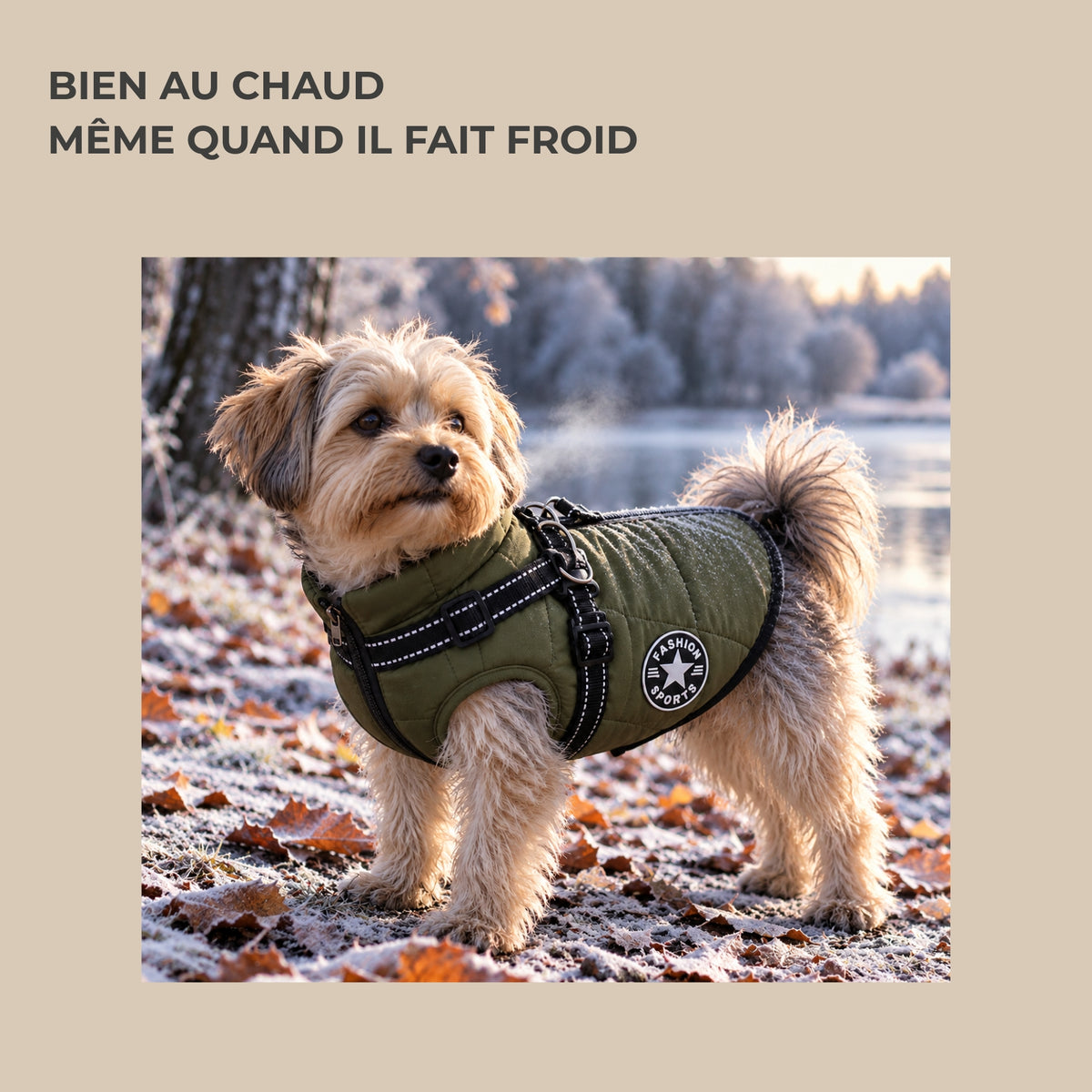 Manteau d’hiver pour petit chien TouVa