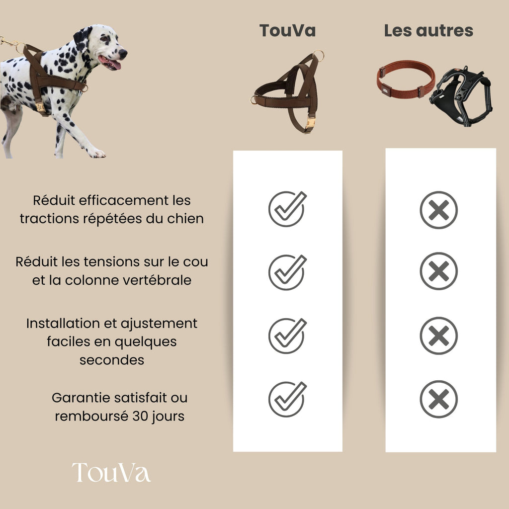 Harnais pour chien anti-traction