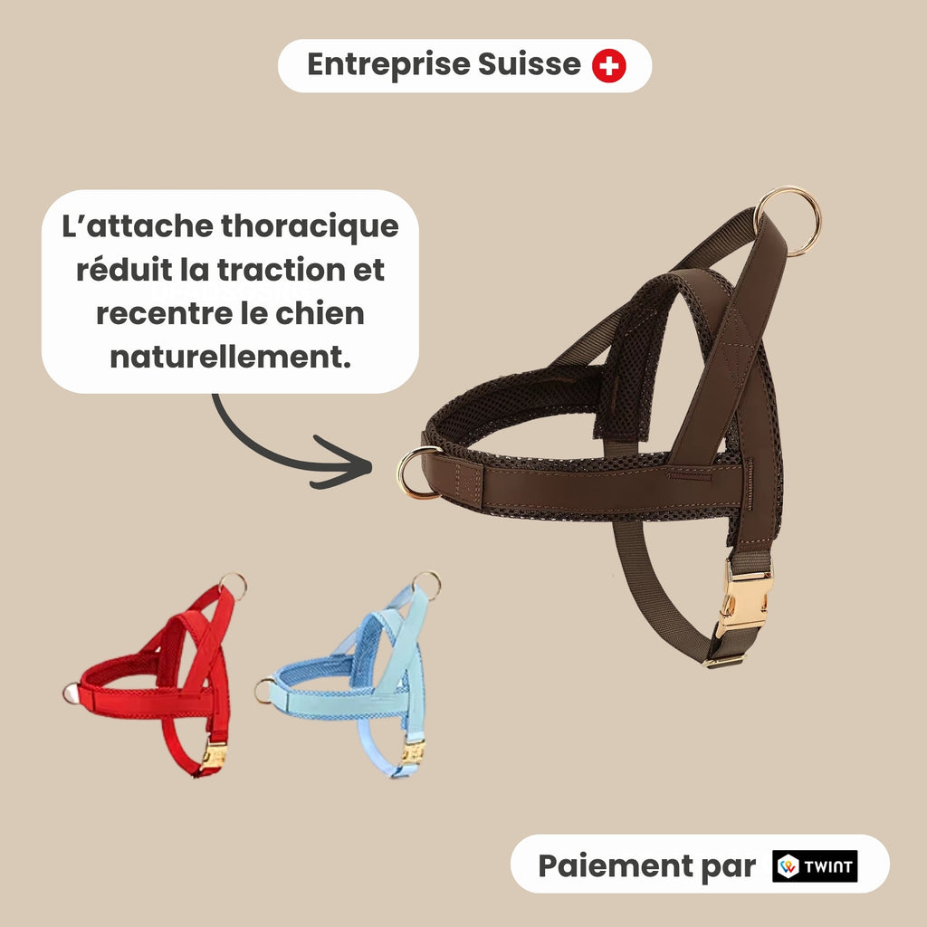 Harnais pour chien anti-traction
