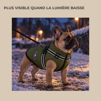Manteau d’hiver pour petit chien TouVa