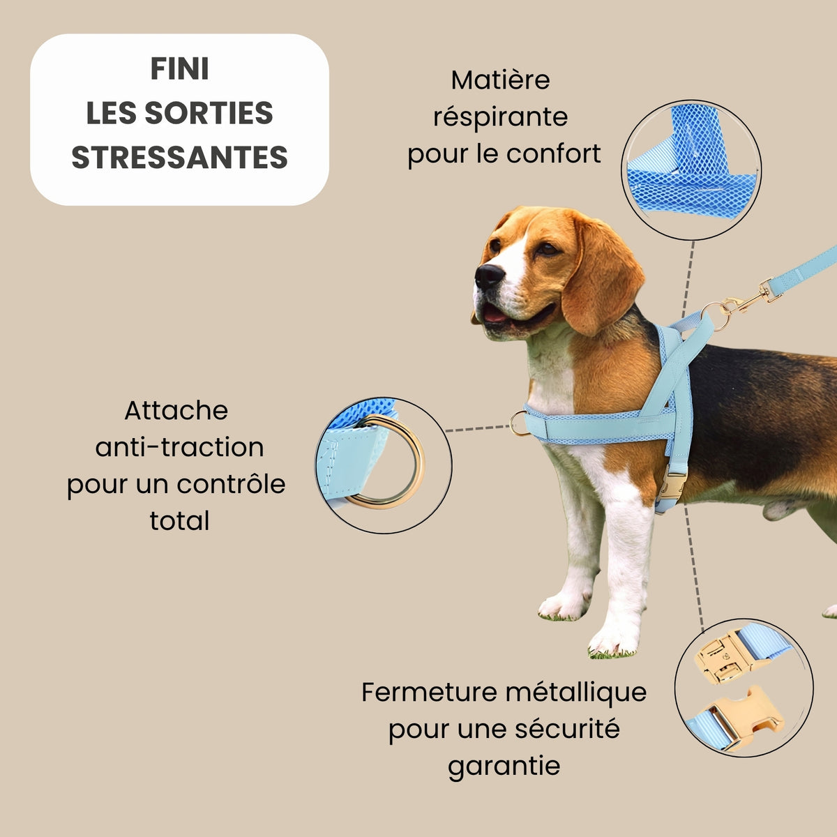 Harnais pour chien anti-traction