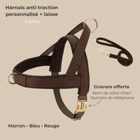 Harnais anti-traction TouVa personnalisé + laisse assortie