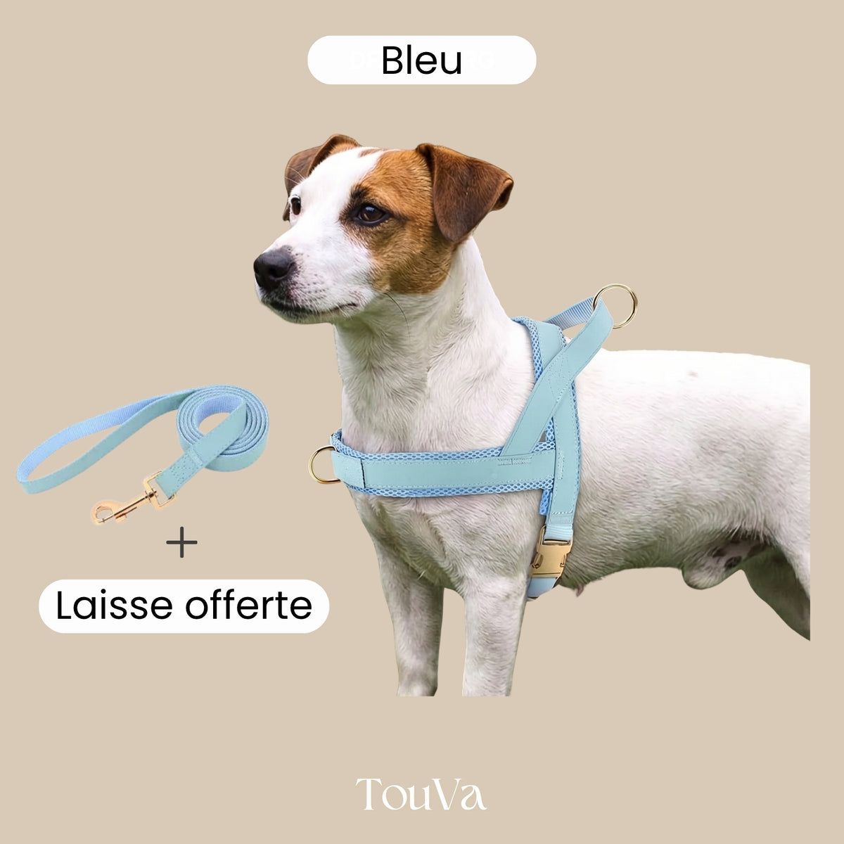 Harnais pour chien anti-traction