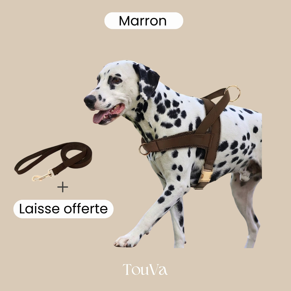 Harnais pour chien anti-traction