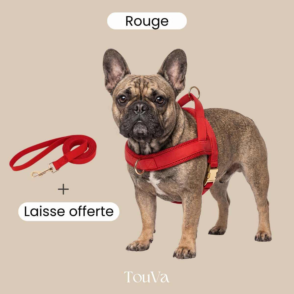 Harnais pour chien anti-traction
