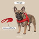 Harnais pour chien anti-traction