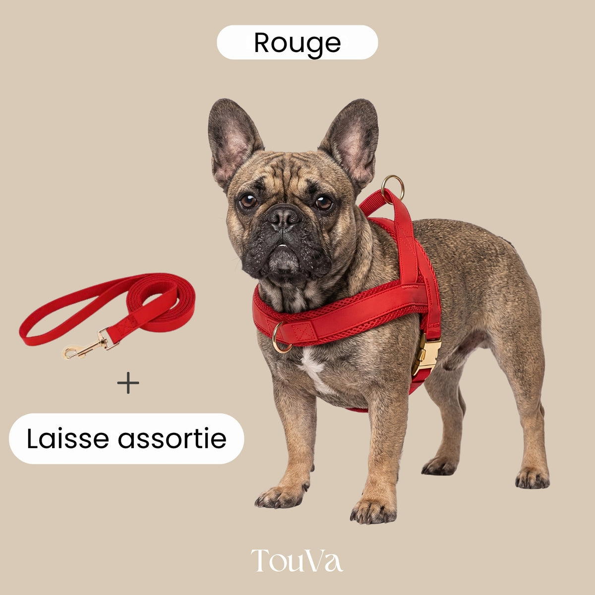 Harnais pour chien anti-traction