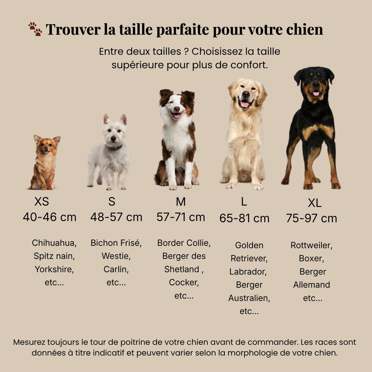 Harnais pour chien anti-traction